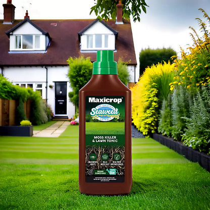 Maxicrop Concentrated Moss killer 1L