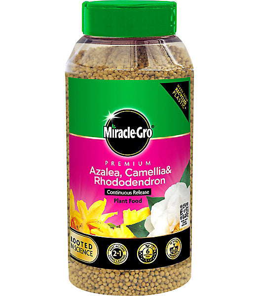 Miracle-Gro Ericaeceous Rhododendron Plant fertiliser Granules 0.9kg