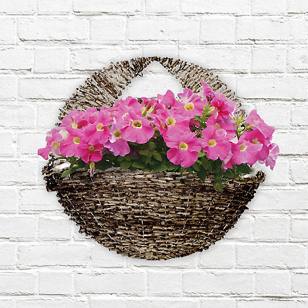 Panacea Natural Semi-circle Rattan Hanging basket, 40cm