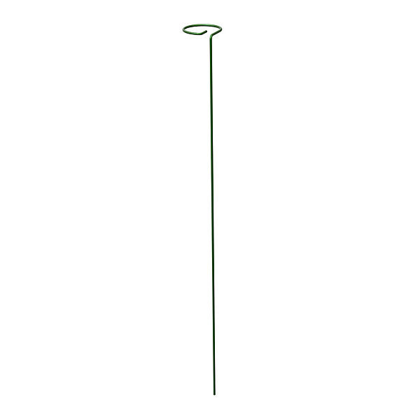 Panacea Steel Single stem Plant support (L)91cm (Dia)8.6cm, Pack of 3