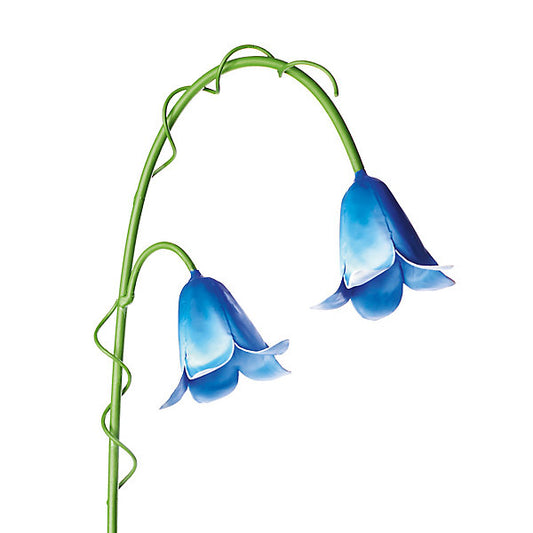 The Outdoor Living Company Blue Bluebell Metal Garden stake (L)0.64m (W)22mm