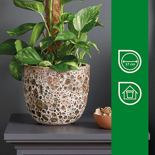 Verve Brown Ceramic Plant pot (Dia) 20cm, (H)18cm