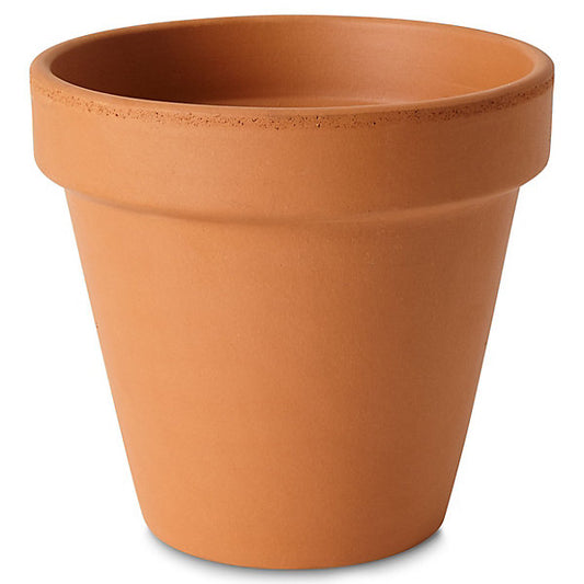 Verve Laleh Brown Terracotta Grow pot (Dia) 17.1cm, (H)14.9cm, 2L
