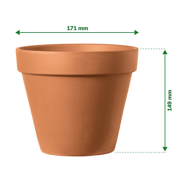 Verve Laleh Brown Terracotta Grow pot (Dia) 17.1cm, (H)14.9cm, 2L