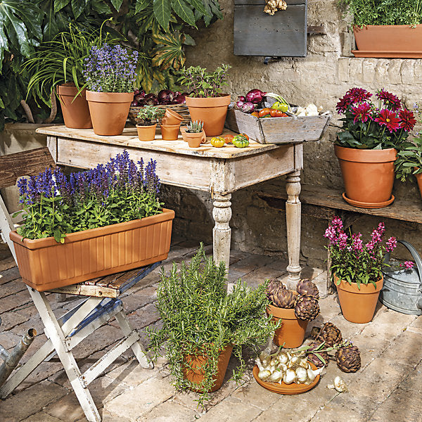 Verve Laleh Brown Terracotta Grow pot (Dia) 17.1cm, (H)14.9cm, 2L