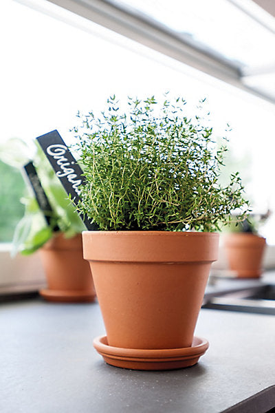 Verve Laleh Brown Terracotta Grow pot (Dia) 17.1cm, (H)14.9cm, 2L