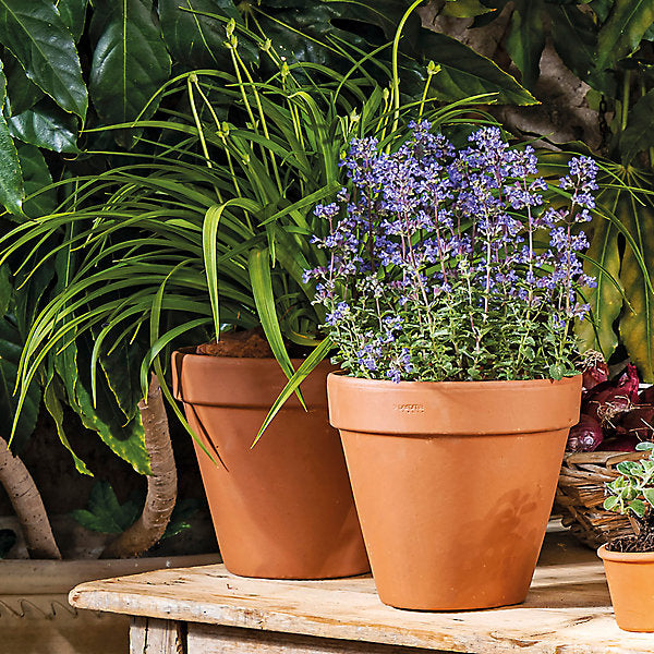 Verve Laleh Brown Terracotta Grow pot (Dia) 17.1cm, (H)14.9cm, 2L