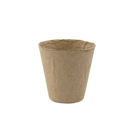 Verve Natural Beige Paper pulp Plant pot (Dia) 6cm, (H)6cm, Pack of 48, 100ml