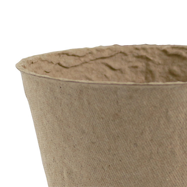 Verve Natural Beige Paper pulp Plant pot (Dia) 6cm, (H)6cm, Pack of 48, 100ml