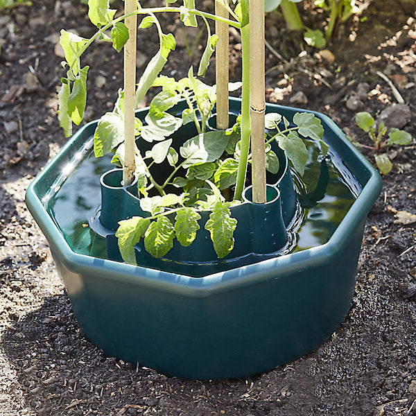 Verve Plastic Plant support 28cm, Pack of 3